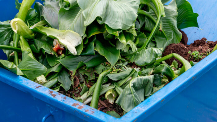 biojate_kuvaaja_adobe_stock_netti