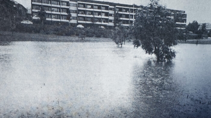 jyviä ja akanoita somessa