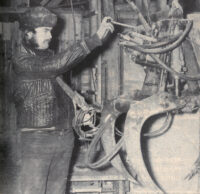 kiuruvesi_lehti_50_vuotta_sitten_remes_netti