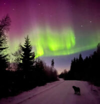 revontulet_kuvaaja_sanna_manninen_netti_2