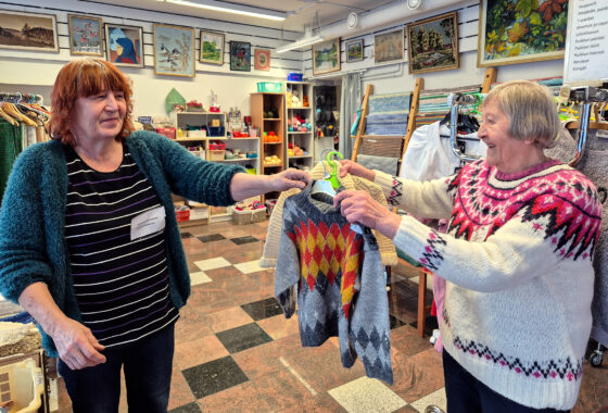 torintupa_kaarina_mahonen_liisa_vornanen_netti