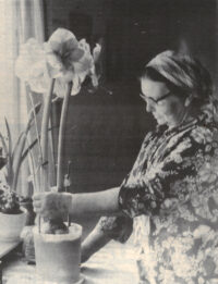 kiuruvesi_lehti_50_vuotta_sitten_amaryllis_netti