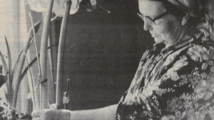 kiuruvesi_lehti_50_vuotta_sitten_amaryllis_netti