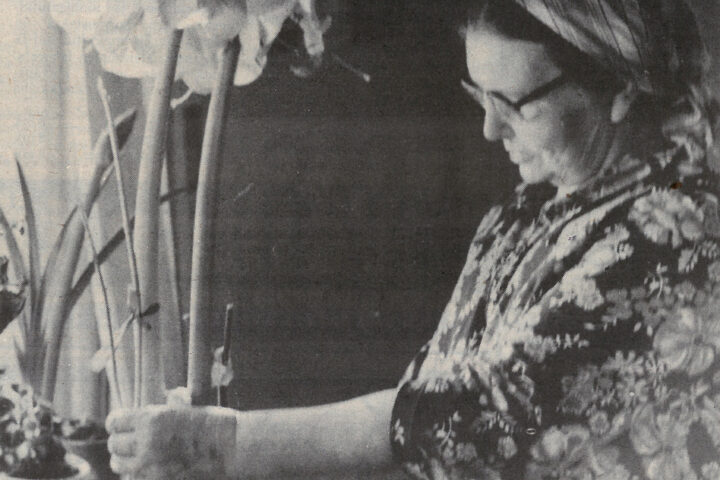 kiuruvesi_lehti_50_vuotta_sitten_amaryllis_netti