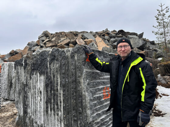 lovikka ja kivi printti