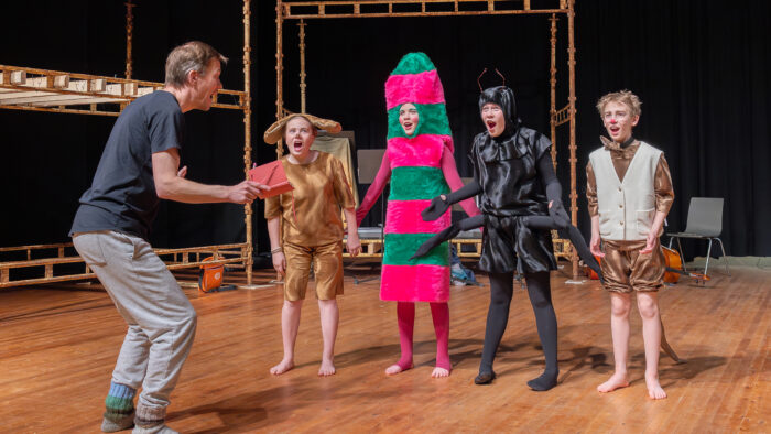 hulluviima_kuvaaja_riitta_airaksinen_netti