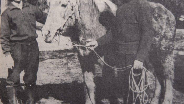 kiuruvesilehti_50_vuotta_sitten_vapputamma_netti