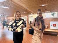 naisyrittäjät-some