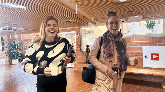 naisyrittäjät-some