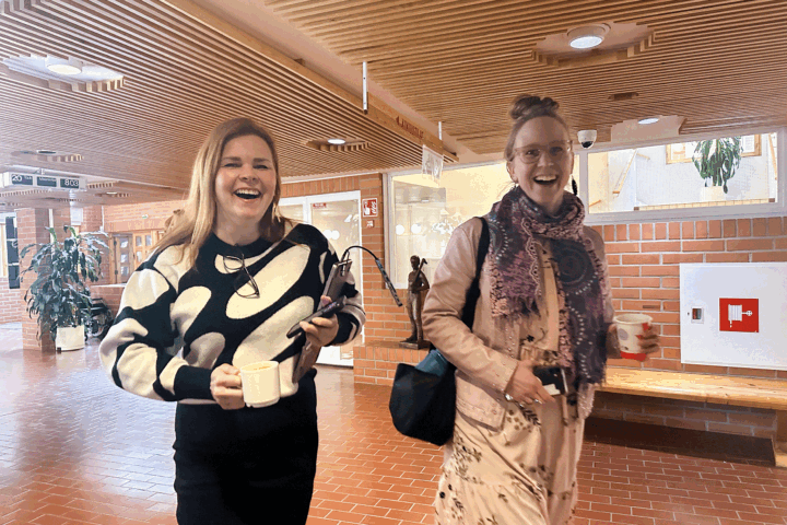 naisyrittäjät-some