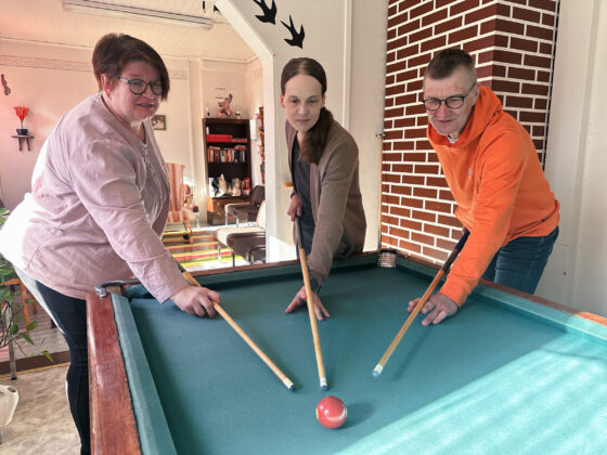 viskaalintupa iso kuva