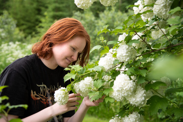 hyonteiset_salla_nukari_netti_3