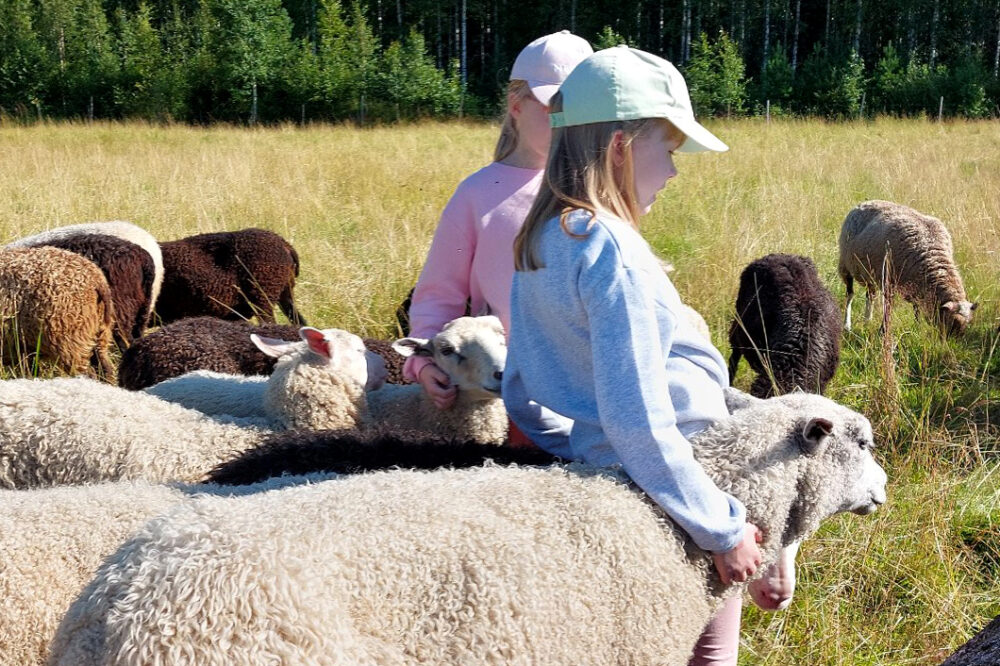 lampaat_kuvaaja_tiina_dahlgren_netti