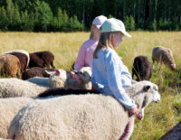 lampaat_kuvaaja_tiina_dahlgren_netti