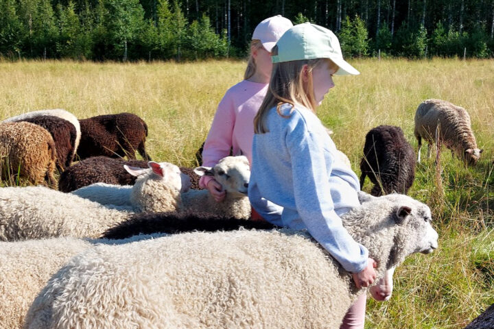 lampaat_kuvaaja_tiina_dahlgren_netti