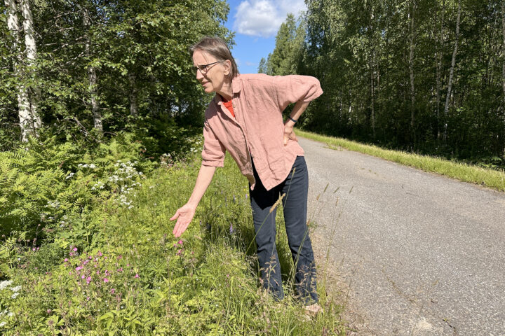 raija-some
