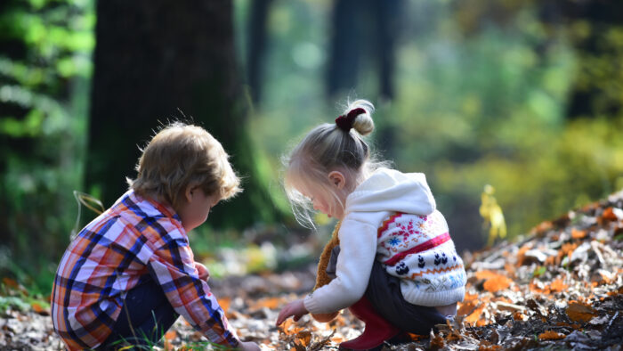 Kids activity and active rest. Children pick acorns from oak trees. Brother and sister camping in autumn forest. Little boy and girl friends have fun on nature. Childhood and child friendship.