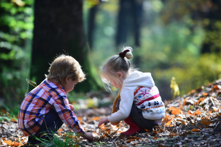 Kids activity and active rest. Children pick acorns from oak trees. Brother and sister camping in autumn forest. Little boy and girl friends have fun on nature. Childhood and child friendship.