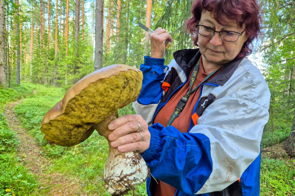 toini_kumpulainen_netti