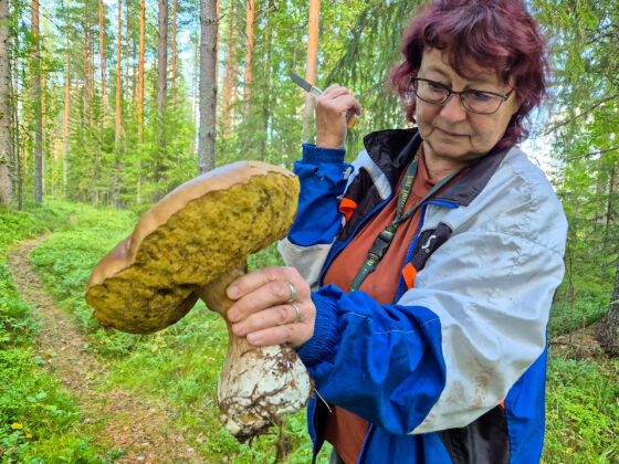 toini_kumpulainen_netti