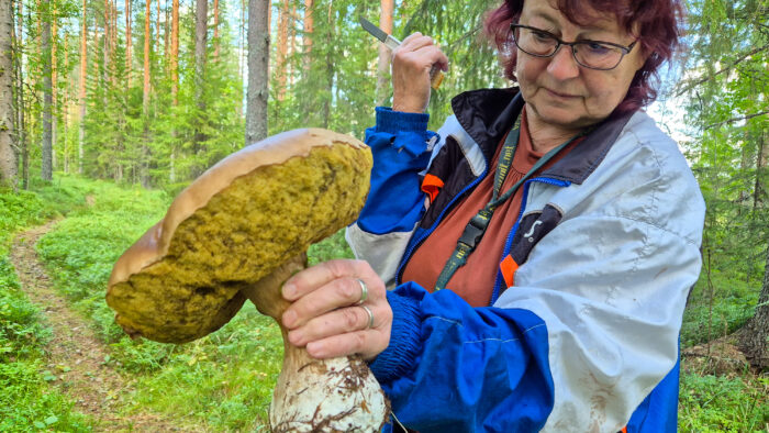 toini_kumpulainen_netti