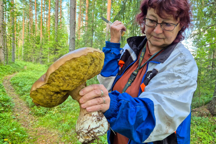 toini_kumpulainen_netti