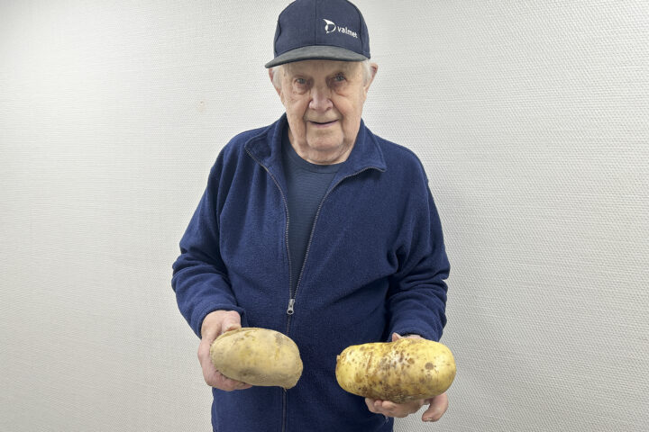 Keijo Tossavainen ja isot perunat vaakakuva_käsitelty