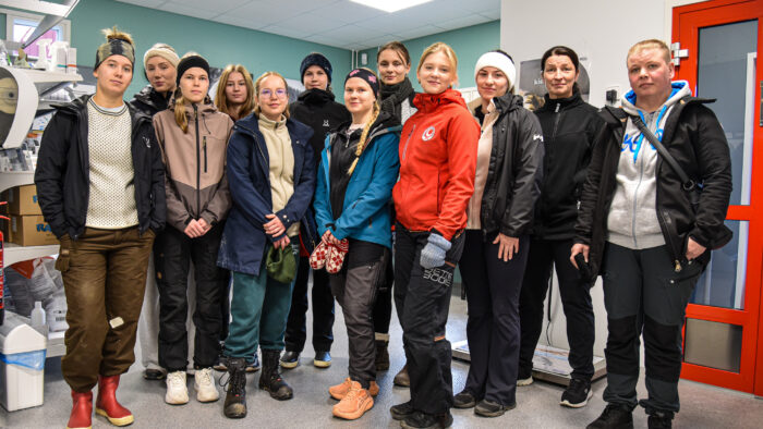 ELLI-hanke_Hingunniemi_23102026_JK
