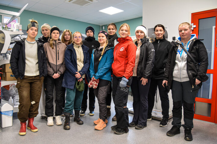 ELLI-hanke_Hingunniemi_23102026_JK