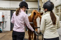ELLI-hanke_Hingunniemi_23102026_JK3