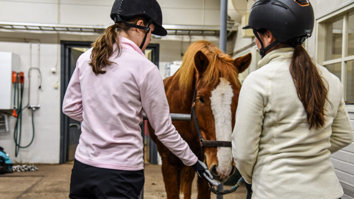 ELLI-hanke_Hingunniemi_23102026_JK3