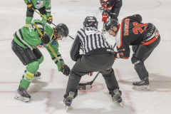 KK-81-Nurmeksen-Sepot-jaakiekko-kuvaaja-Riitta-Airaksinen_kasitelty